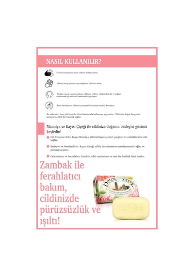Nesti Dante Dolce Vivere Pisa Vegan Bakım Sabun 250 G