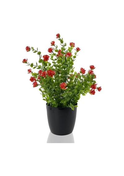 Yapay Çiçek Siyah Saksıda Kırmızı Mineli Şimşir Büyük Boy 33X25 C