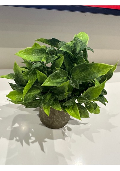 Dekoratif Eskitme Gri Saksıda Gerçekçi Yapay Yeşil Bitki - Modern Masa Ve Raf Çiçeği 24x18 Cm Yeşil