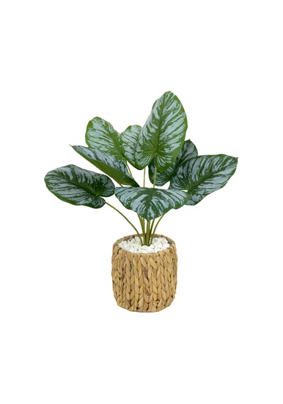 Biçiçek Yapay Salon Bi̇tki̇si̇ Bi̇tki̇si̇ 60 Cm
