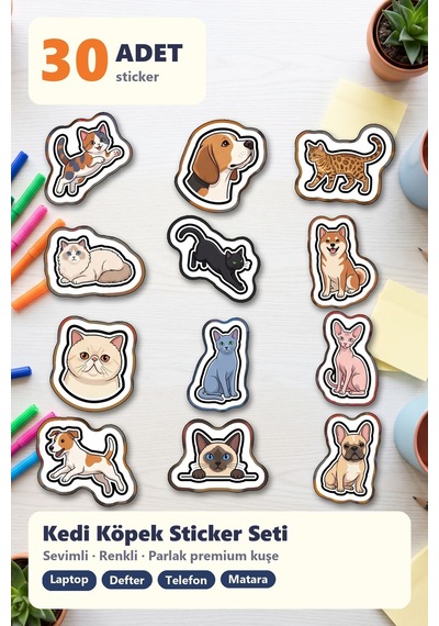 30 Adet Vektörel Kedi Köpek Sticker Seti - Laptop Defter Telefon Su Matarası İçin Çok Renkli