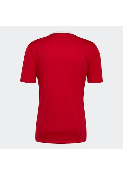 Adidas Entrada 22 Jersey Erkek Forma Kırmızı
