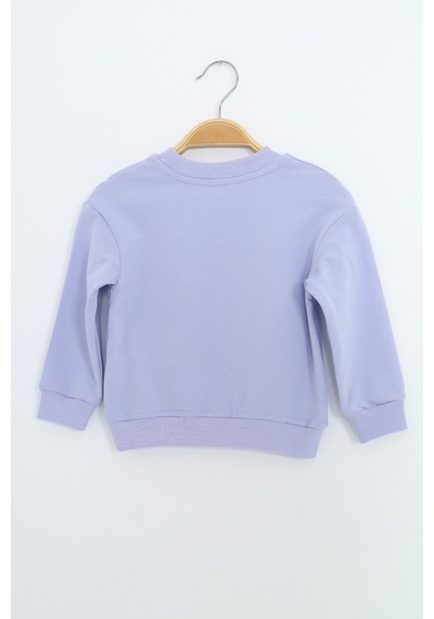 Toontoy Kids Toontoy Erkek Çocuk Relax Fit Bisiklet Yaka Hafif Düşük Omuz Nakışlı Sweatshirt Mavi