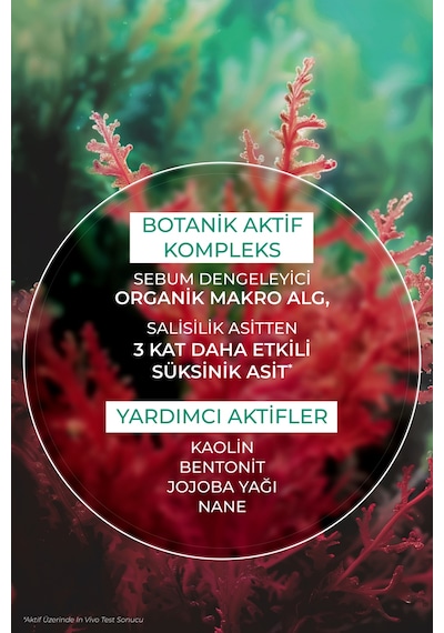 Siyah Nokta, Gözenek Görünümünü Azaltıcı Ve Arındırıcı Vegan Kömür Maske 75 Ml