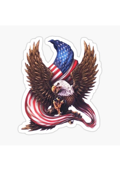 Araba Kartal Sticker Yapıştırması Etiket Amerikan Bayrağı 17Cm A2