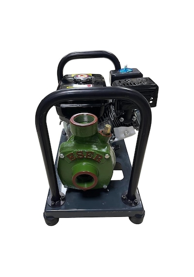 Gardenpro Wp-20/140h Yüksek Basınçlı Döküm Pompalı Su Motoru 140 Mt 7 Hp