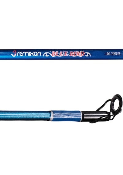 Remıxon Blue Bırd 3.00m 100-200gr 2p Kamış