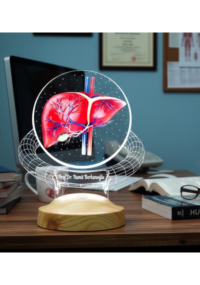 Karaciğer Hepatolog Uzmanına Hediye Kişiye Özel Gastroenteroloji & Hepatoloji Doktoru Led Lamba, Karaciğer Tasarımlı Tıp Hediyesi