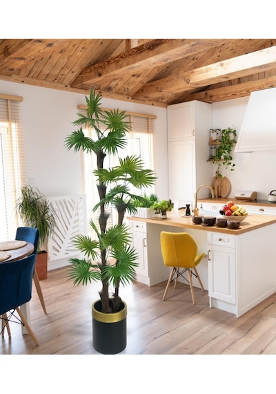 Yapay Ağaç Palmiye Fanpalm 3katlı 24yaprak Gold Kemerli Siyah Saksıda 165 65cm
