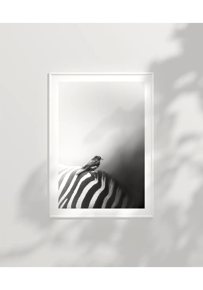 Çerçevesiz Poster Çizgilerin Üzerinde