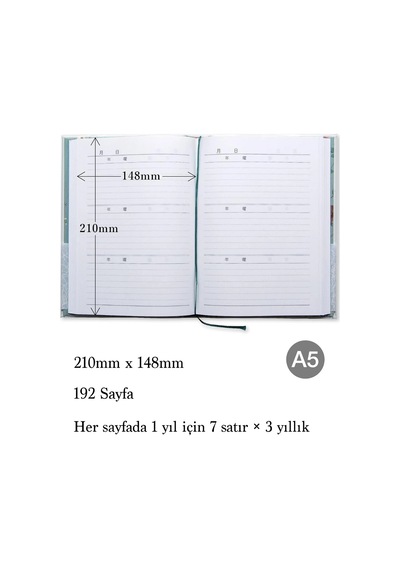 Apica A5 3 Yıllık Günlük D309 Çok Renkli