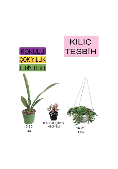 3'lü Set Tek Dikim Kılıç+askılı Saksılı Tesbih+hediyelik Telgraf Çiçeği