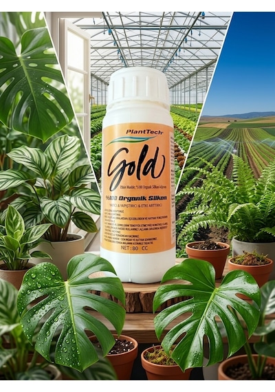PLANTTECH Gold (80 cc) Organik Silikon Tarımsal Yayıcı Yapıştırıcı - Gübre Ve İlaç Etki Artırıcı-Süper Yayılım -