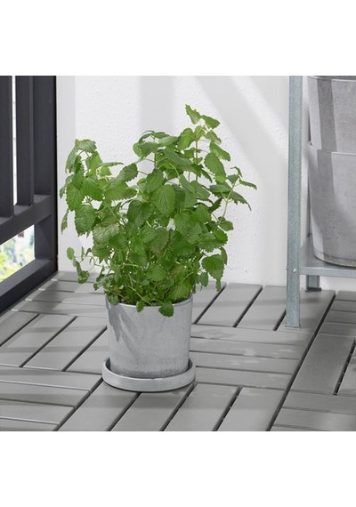 Ikea Boysenbär Saksı Altlığı, Açık Gri, 15 Cm