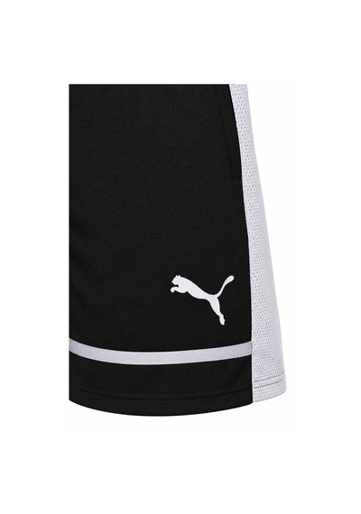 Puma Scoot Lab Erkek Şort 630697-01 Çok Renkli