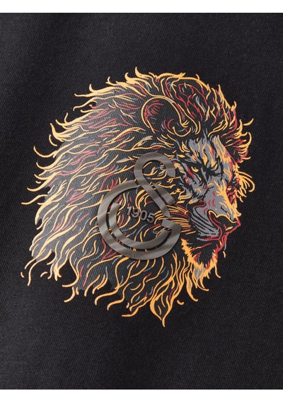 Gsstore Galatasaray Çocuk T-shirt C252102 Siyah