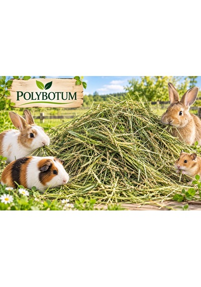 Polybotum Doğal Çayır Otu Tavşan Yemi 1000 Gr Guinea Pig, Hamster Ve Kemirgenler İçin Kurutulmuş