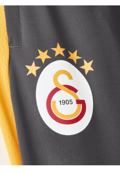 Gsstore Galatasaray Puma Çocuk Antrenman Eşofman Alt 78764906 Antrasit