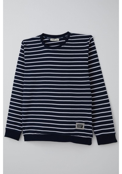 Breeze Erkek Çocuk Sweatshirt Arma Detaylı Çizgili 4-8 Yaş, Lacivert Lacivert