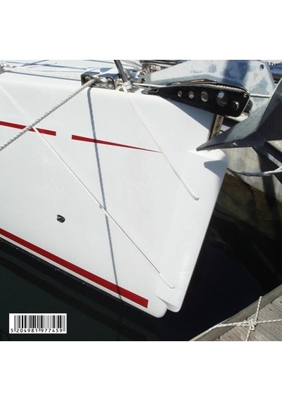 Ocean Baş Usturmaça, Beyaz