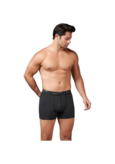 6 Adet Gümüş Erkek Çizgili Likralı Spor Boxer 3114 001