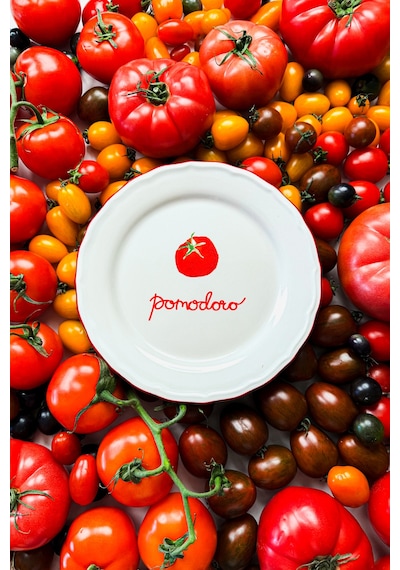 Rakle x Bengi Kurtcebe Pomodoro Stoneware 4'lü Meze Tabağı Seti 21 cm