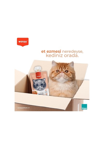 Wanpy Taze Somonlu&tavuklu Kedi Et Ezmesi 90 Gr Tekli
