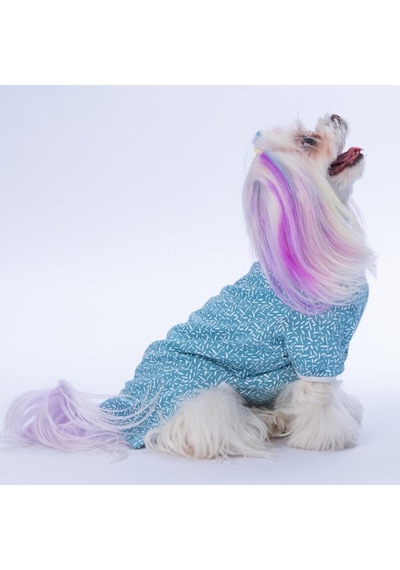 Blue-mavi Basic Kedi Köpek Sweat- Kedi Köpek Kıyafeti