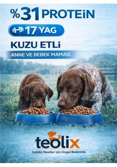 Teolix Kuzu Etli Anne Ve Yavru Köpek Maması %31 Protein %17 Yağ Dengeli & Tam Beslenme 15 Kg