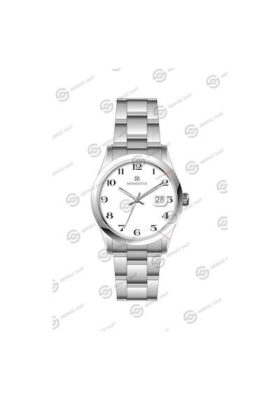 Momentus Men's Classic Cm136s-01ss Çok Renkli