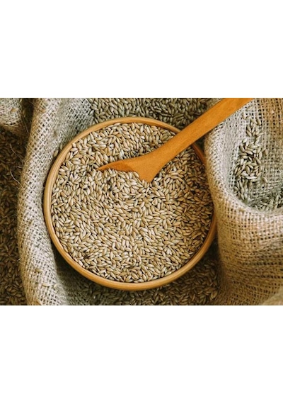 Kanarya Yemi İthal Kanada Aspur 500 G