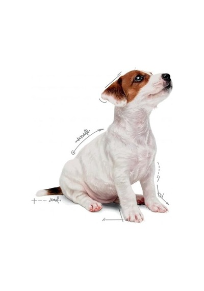 Mini Puppy Köpek Maması, Yavru Köpek, 12 X 85 G