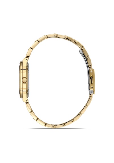 Ferro Fl21586awt-b6 Quartz Çelik Altın Rengi Yeşil Kadran 31 Mm Kadın Kol Saati Altın