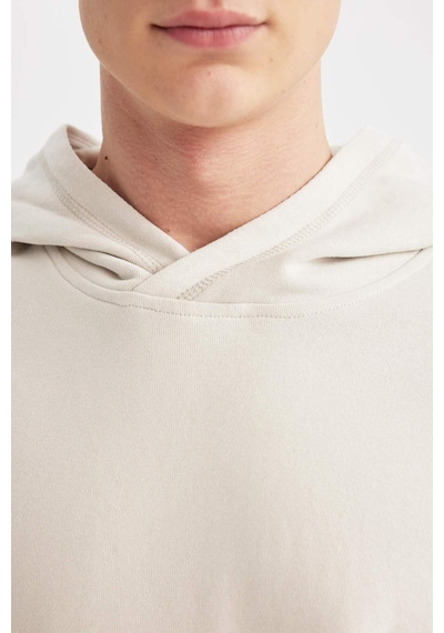 Defacto Comfort Regular Fit Rahat Kalıp Kapüşonlu Basic Sweatshirt B4446AX24SPGR437 Gri