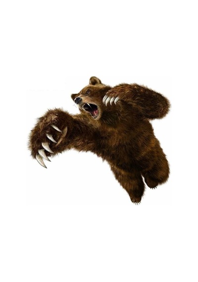 Vahşi Ayı Araba Sticker Yapıştırması 20 Cm