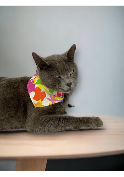 Kemique Summer Bandana Fular Kedi Kıyafeti