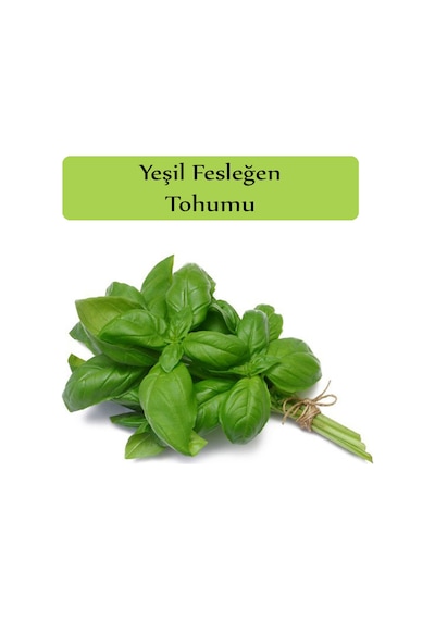 Yeşil Reyhan Tohumu Yeşil Fesleğen 1 Paket 3GR=100+Adt Fesleğen