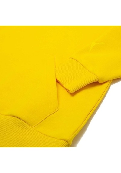Puma Hoodie Nordics Blank Sarı Siyah