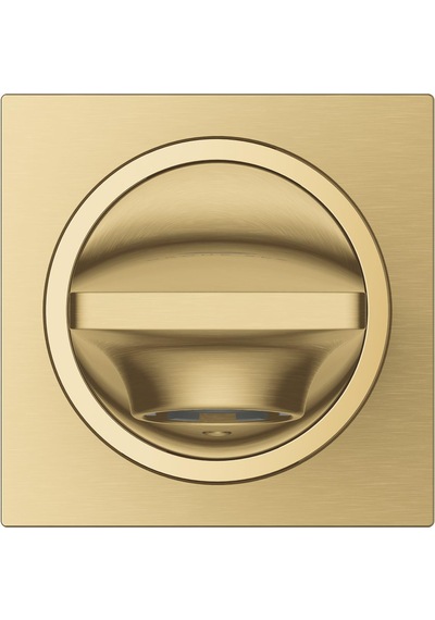 Grohe Allure New Çıkış Ucu - 13264GN1 Altın
