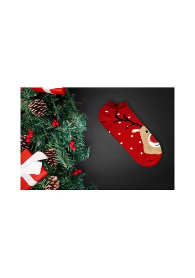 Footmania 5'li Yılbaşı Christmas Noel Renkli Çoraplar Seti Çok Renkli Footmania 5'li Yılbaşı Christmas Noel Renkli Çoraplar Seti Çok Renkli