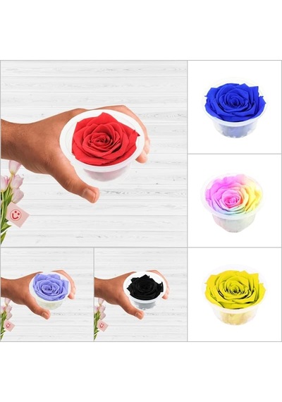 Süsle Bebek Ve Parti Şoklanmış Solmayan Gül, 5 Cm - Kırmızı Çok Renkli
