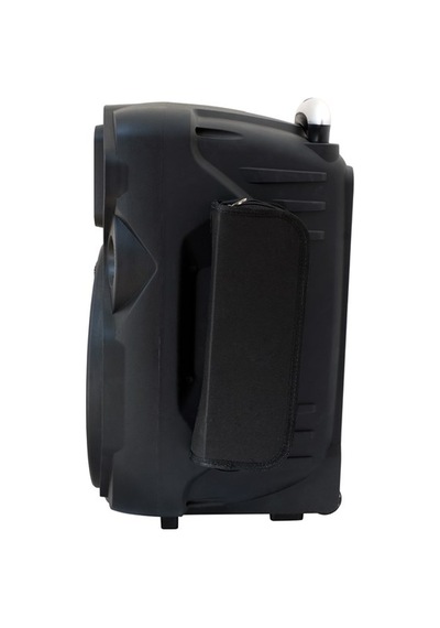 Provoice Vpx-12 Dc 12 Inch 1200 Watt Taşınabilir Hoparlör Sistemi