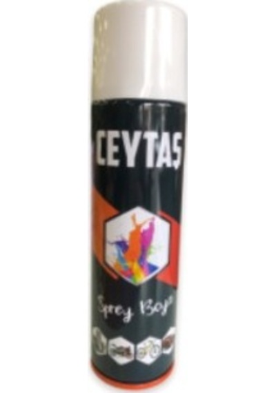 Ceytaş Sprey Boya 200 Ml Bakır Diğer