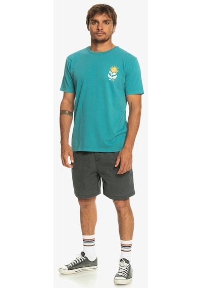Quiksilver Eqyzt07261-blz0 Sunbloom M Tees Erkek T-shirt 001