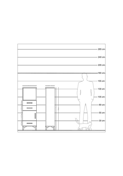 Arges Dolap 2 Raflı 3 Çekmeceli Tek Kapaklı 44x30x134 Çam-antrasit Atlas Çam