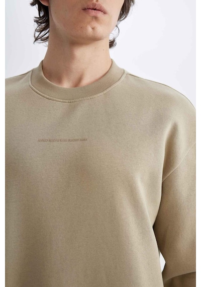 Defacto Boxy Fit Bisiklet Yaka Baskılı Sweatshirt X8282az24aubg311 Bej