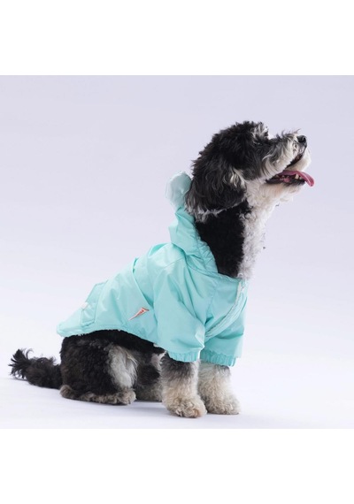 Mint Sydney Köpek Montu Köpek Yağmurluk Köpek Kıyafeti Köpek Elbisesi