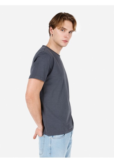 Colin's Colins Regular Fit Bisiklet Yaka Basic Antrasit Erkek Kısa Kol Tişört Cl1058580 Antrasit