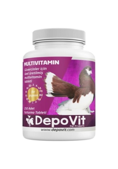 Depovit Enerji Vitamin Desteği Multivitamin Tablet 250'li