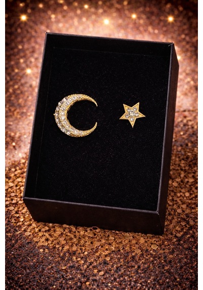 Ay Yıldız Ve Hesap Makinesi Temalı Broş Muhasebe & Türkiye Konseptli Şık Hediye Kutulu Yaka İğnesi Renkli